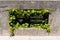 Closeup shot of a window of a concrete building surrounded by green leaves