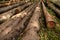 Closeup shot of wooden poles heap trees lying on grass with sunlight