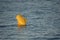 Closeup shot of a yellow swim limit signaling buoy in the sea