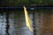 Closeup shot of a yellow textile hanging on a rope with a clothespin against a blurry water