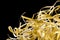 Closeup shredded paper texture and reuse yellow color,colorful paper scrap of document on black background. Selective focus image