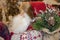 Closeup side view of Santa figure-decoration in ski cap and sweater with burlap bag of Christmas greenery and a walking stick