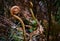 Closeup of a silver fern unfurling growing outdoor