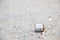 Closeup of silver metal can garbage on the beach with shell and sand