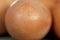 Closeup simple fresh brown egg. Economic crisis
