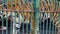 Closeup single bengal tiger walks behind the cage lattice