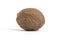 Closeup single nutmeg isolated on a white background