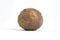 Closeup single nutmeg isolated on a white background