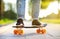 Closeup skateboarding. Active sporty woman having fun in park