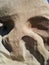 Closeup of skull rock in Joshua Tree National Forest