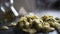 Closeup of a slate plate with steaming orecchiette with broccoli, typical Apulian recipe, in backlight on dark wooden table with