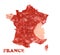 Closeup of a slice of prosciutto shaped like the outline of the map of France on white background