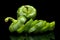 Closeup slices of green bell peppers on black with drops of wate