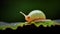 closeup of a slug on a leaf generative AI