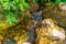 Closeup of a small brook streaming over some rocks, nature background