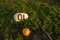 Closeup of a small buoy on fresh grass in a field