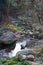 Closeup of a small creek in the wild forest