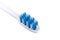 Closeup of small head toothbrush with soft slim tapered bristle
