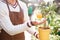 Closeup of small mandarine tree in pot with one tangerine