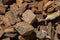 Closeup of Small Pieces of Petrified Wood