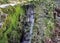 Closeup of small stream of water flowing from mountain shallow c