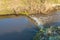 Closeup of a small weir in a narrow stream