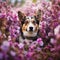 Closeup smiling dog among the flowers,AI generated