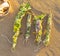 Closeup of smudge sticks on a sandy beach on a sunny day