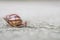 Closeup a snail moving on street floor in the outdoor textured background