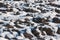 Closeup of a snowy plowed field