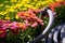 closeup of a soaker hose snaking through flowers