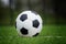 Closeup soccer ball in green grass