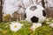 Closeup soccer ball on green grass with flowers. Football or soccer ball on the lawn with morning sunlight. Outdoor activities
