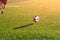 Closeup of a soccer ball in motion on a green football field.