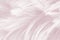 Closeup soft pink, white feathers texture background
