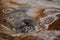 Closeup of solfatare mudpot s in the geothermal area Hverir, Iceland. The area around the boiling mud is multicolored and cracked