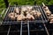 Closeup of some meat skewers being grilled in a barbecue. Grilling marinated shashlik on a grill.