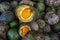 Closeup of souari nut bunch, or Pequi in Portuguese, at the market stall