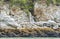 Closeup of split in rocky shoreline of inlet, Skagway, Alaska, USA