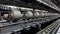 Closeup Spools of Yarn Thread Yarn Making Processes Textile Factory Equipment Spinning Production