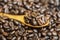 Closeup of a spoon filled with coffee beans