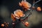 Closeup of spring apricot blossom flower on dark bokeh background
