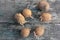 Closeup of Sprouted potatoes ready for spring planting on a rustic wooden background.