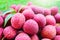 Closeup of stack of pink Lychee fruits and green leaves