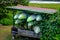 Closeup of stacked small fishing boats in a field under the sunlight at daytime