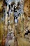 Closeup of stalactites and stalagmites