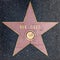 Closeup of Star on the Hollywood Walk of Fame for Bee Gees