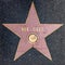 Closeup of Star on the Hollywood Walk of Fame for Bee Gees