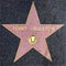 closeup of Star on the Hollywood Walk of Fame for Penny Singleton