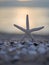 Closeup starfish on the beach and twilight sunset